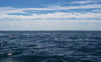 atlantic ocean