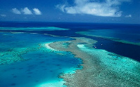 great barrier reef