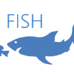 Gray angelfish – (FISH-fish) See facts